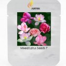 Rare Red Pink Nelumbo Nucifera Lotus Flower Laritek 7 Seeds Professional Pack
