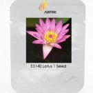 Rare Red American Water Lily 'the Madonna' Flower 1 Seeds