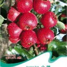 Rare 5 Original packs, 8 seeds / pack, Hawthorn seeds