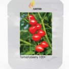 Rare Heart-Shaped Tomatoberry Garden Tomato Hybrid Seed, Professional Pack, 100 Seeds
