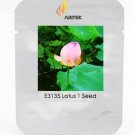 Rare Heirloom Fragrant Ball Pink Nelumbo Nucifera Lotus Flower Seeds, Professional Pack, 1 Seed