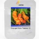Rare Fresh Orange Peter Penis Chili Pepper Organic Seeds, Professional Pack, 10 Seeds