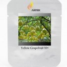 Rare Grapefruit Citrus maxima Fruit Seeds, Professional Pack, 10 Seeds