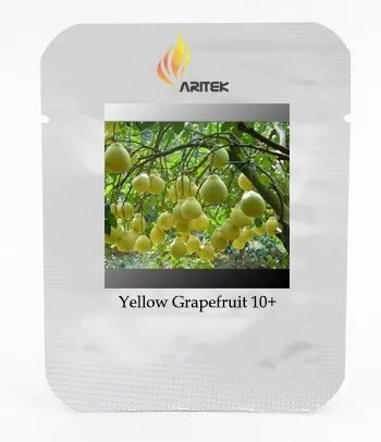 Rare Grapefruit Citrus maxima Fruit Seeds, Professional Pack, 10 Seeds