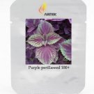 Rare Heirloom Purple Perillaseeds, Professional Pack, 100 Seeds
