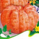 Rare Sweet Baby Pumpkin Seeds, Original Pack, 8 seeds