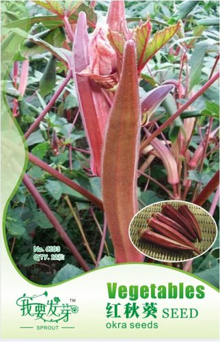 Rare Red Okra Organic Seeds, Original Pack, 12 Seeds