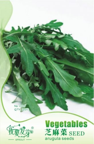 Rare Eruca Salad Rocket Arugula Organic Vegetable 120 Seeds
