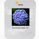 Rare Blue Hydrangea Paniculata Grandiflora, Professional Pack, 15 Seeds