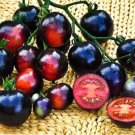 Rare Indigo Blue Tomato Hybrid Seeds, Professional Pack, 100 Seeds