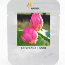 Rare Red Double-headed Nelumbo Nucifera Lotus Flower 1 Seeds