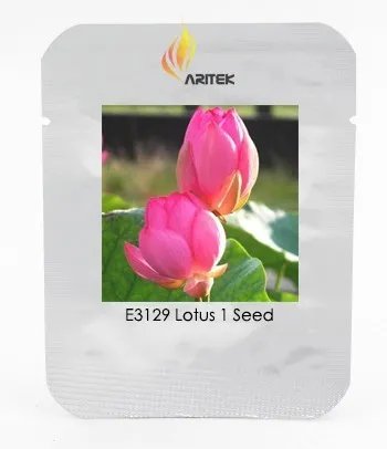 Rare Red Double-headed Nelumbo Nucifera Lotus Flower 1 Seeds