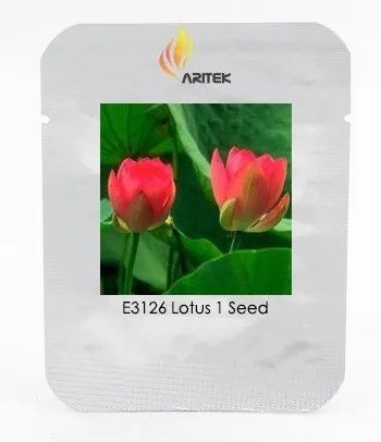 Rare Middle Red Nelumbo Nucifera Lotus Flower Seeds, Professional Pack, 1 Seed