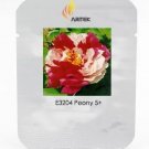Rare 'Er Qiao' White Dark Red Fragrant Peony Tree Flower Seeds, Professional Pack, 5 Seeds
