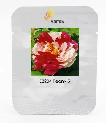 Rare 'Er Qiao' White Dark Red Fragrant Peony Tree Flower Seeds, Professional Pack, 5 Seeds