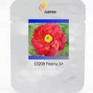 Rare 'Hua Wang' Red Peony Flower with Golden Spot Flower 5 Seeds