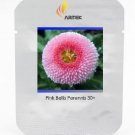 Rare Pink Little Daisy Flower Seeds, Professional Pack, 30 Seeds