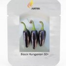 Rare Black Hungarian Hot Chili Pepper Organic Seeds, Professional Pack, 50 Seeds