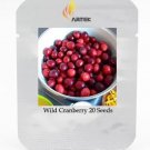 Rare Wild Cranberry Vaccinium Macrocarpon Bearberry Fruit 20 Seeds