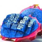 Rare Dragon Fruit Rare, Blue 50 seeds