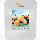 Rare Hybrid Yellow Orange Rose Plant Seeds, Professional Pack, 50 Seeds
