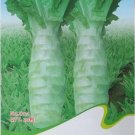 Rare Chinese Green Asparagus Lettuce Seeds, Original Pack, 30 Seeds