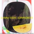 Rare Big Super Black Skin Yellow Oval Sweet Organic Watermelon 80 Seeds