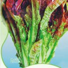 Rare 30 Seeds / Pack, Red Salad Bowl Leaf Lettuce Seeds