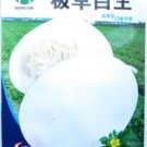 Rare Heirloom White Sticky Sweet Melon (Sugar 17% Contained) Fruit Seeds, Original Pack, 200 Seeds