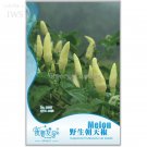 Rare Wild Hot Chili Peppers Seeds,Original Pack, 60 seeds