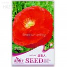Rare Poppy Flower Coquelicot Flower Seeds, Original Pack, 100 seeds