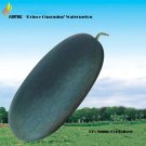 Rare Dark Gray Skin Red Watermelon F1 Seeds, Professional Pack, 20 Seeds