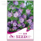 Rare Candytuft Seeds Fragrant Iberis Amara Room Flower Bee Seeds, 50 seeds