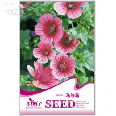 Rare Beautiful Malope Trifida Flower Seeds, 30 seeds