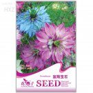 Rare Fennel Flower Seeds Nigella Damascene Persian Gem Garden Plants 30 Seeds