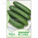 Rare Sweet and Succulent Dutch Cucumber Seeds, Original Pack, 6 seeds