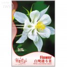 Rare White Columbines Aquilegia Seeds Balcony Bonsai Plant Flowers 35 seeds