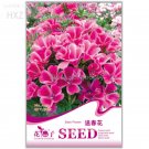 Rare Farewell to Spring Flower Seeds, Original Package, 50 seeds,