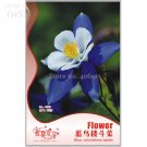 Rare Blue Columbines Aquilegia Seeds Balcony Bonsai Plant Flowers 55 seeds