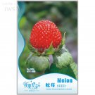 Rare India Mock Strawberry Bonsai Seeds, Original Pack, 60 seeds