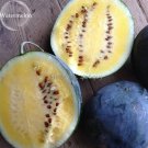 Rare Heirloom Yellow Flesh Janosik Watermelon, 10 Seeds