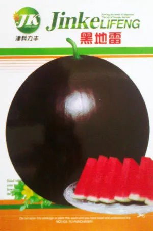 Rare Super Black Skin Red Seedless Watermelon 'Landmine' Organic Seed, Original Pack, 40 Seeds