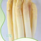 Rare 10 Original Packs, 20 seeds / pack, White Asparagus Seeds