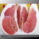 Rare Red Grapefruit Citrus maxima Hybrid Seeds, Professional Pack, 10 Seeds