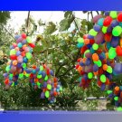 Rare Rainbow F5 Hybrid Grape Seedling Seeds, Professional Pack, 15 Pack