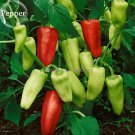 Rare Green Red White Hot Chilli Pepper Vegetables, 20 Mixed Seeds