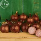 Rare Creole Onion Vegetables, 100 Seeds, edible tasty vegetables