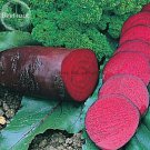 Rare Dark Red Beetroot Cylindra Vegetables, 30 seeds