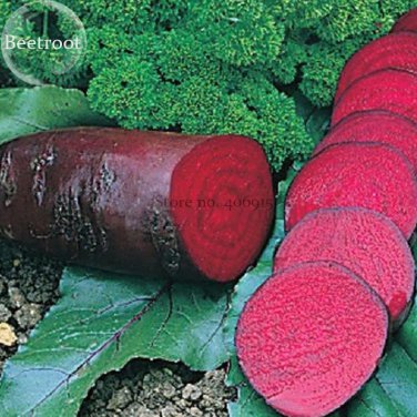 Rare Dark Red Beetroot Cylindra Vegetables, 30 seeds