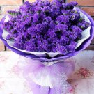 Rare Blue Sea Lavender Limonium Sinuatum, 30 seeds